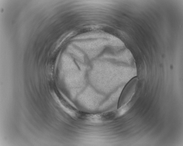 X0000052640140200507221825