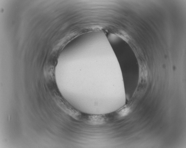 X0000052640141200507221825