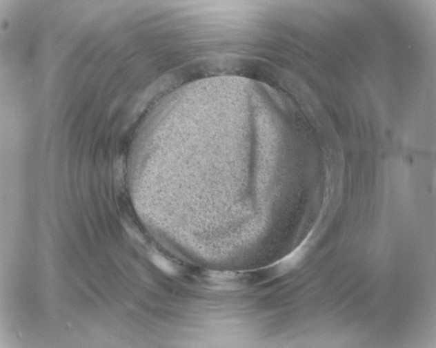 X0000052640144200507221825