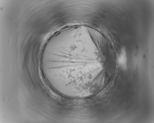 X0000052640145200507221824