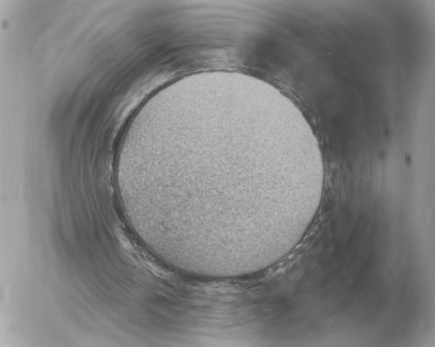 X0000052640146200507221824