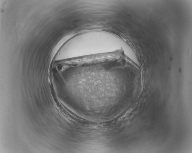 X0000052640147200507221824