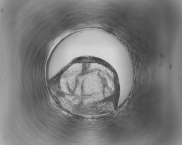 X0000052640148200507221824