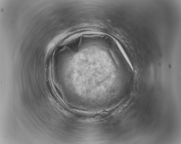 X0000052640149200507221824