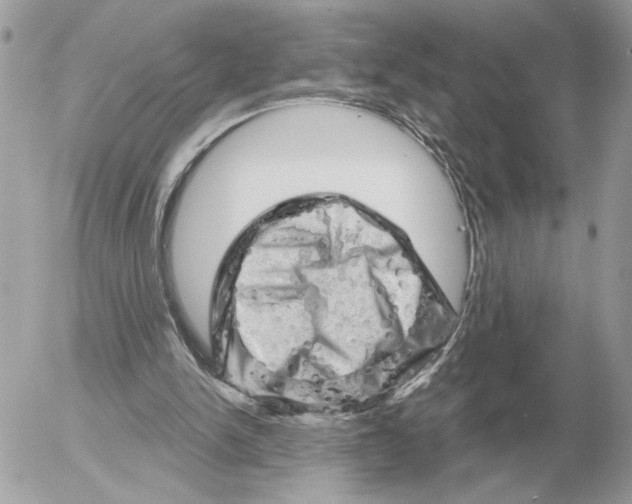 X0000052640150200507221824