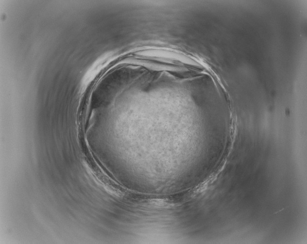 X0000052640151200507221824