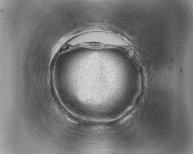 X0000052640152200507221824