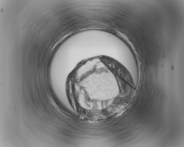 X0000052640154200507221824