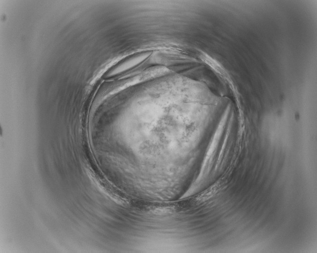 X0000052640155200507221824