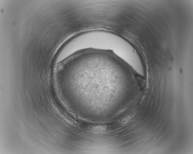 X0000052640156200507221824