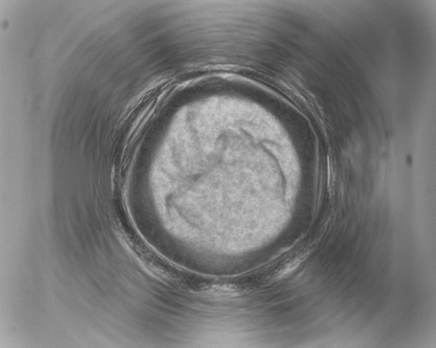 X0000052640157200507221824