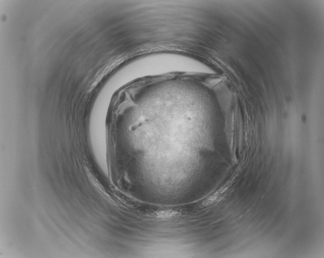 X0000052640158200507221824