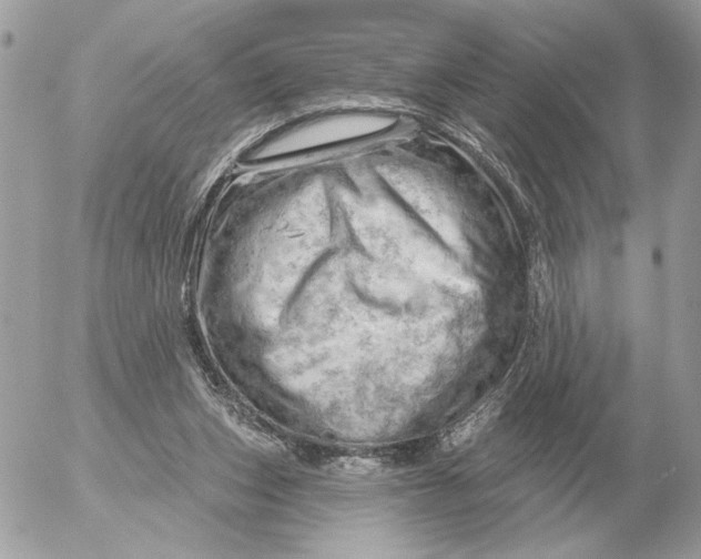 X0000052640159200507221824