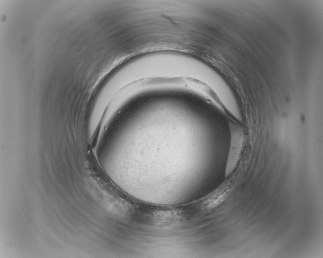 X0000052640160200507221824