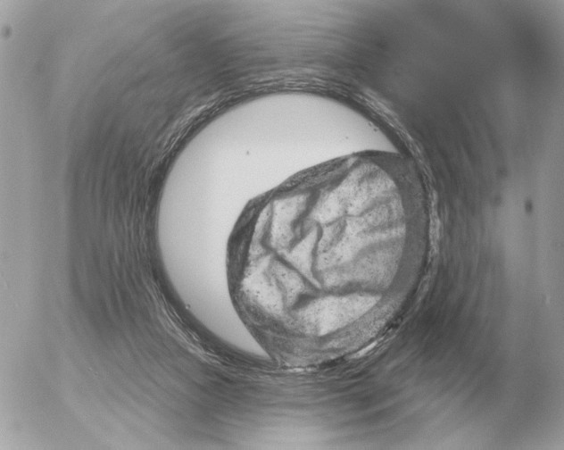 X0000052640161200507221824