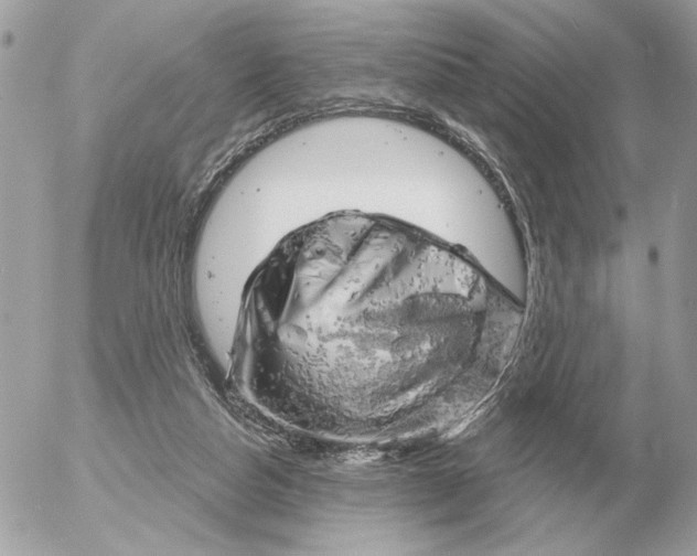 X0000052640162200507221824