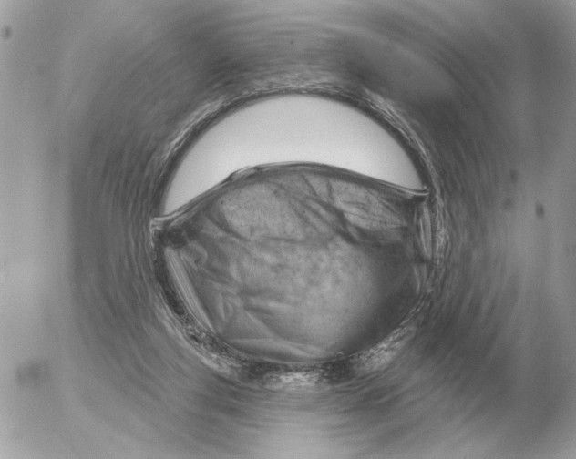 X0000052640163200507221824