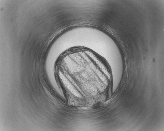 X0000052640164200507221824