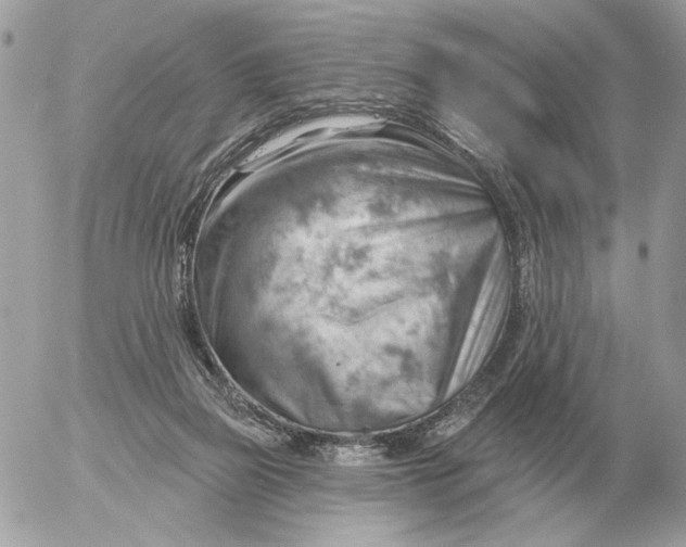 X0000052640165200507221824