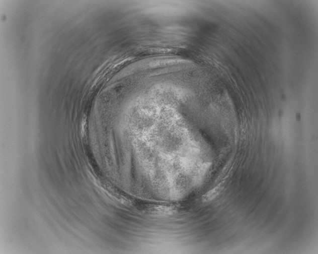 X0000052640166200507221824