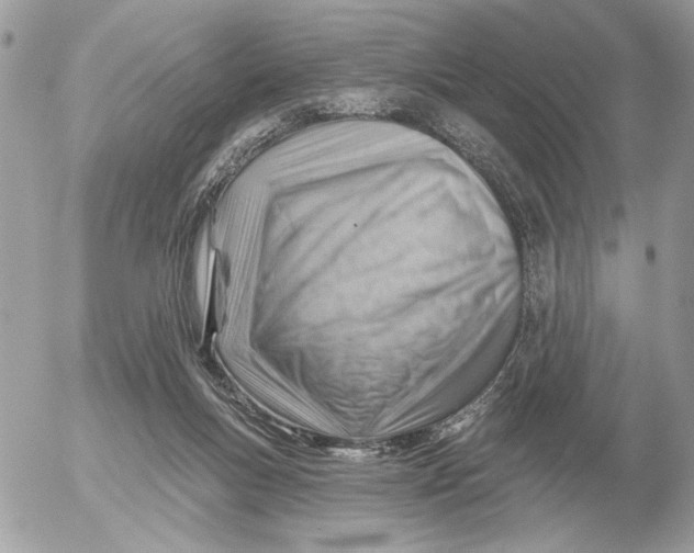 X0000052640167200507221824