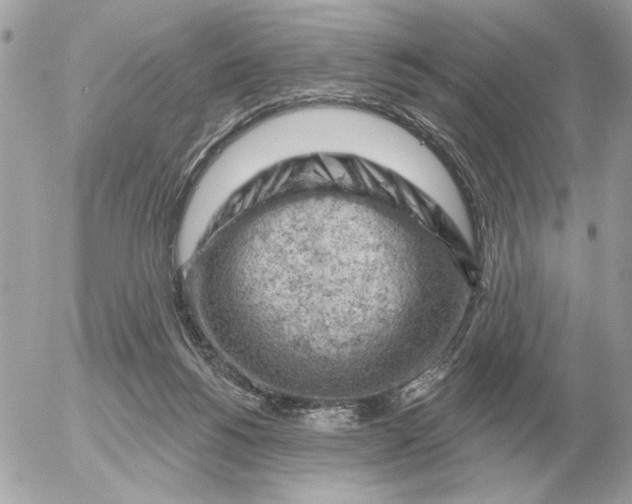 X0000052640168200507221824