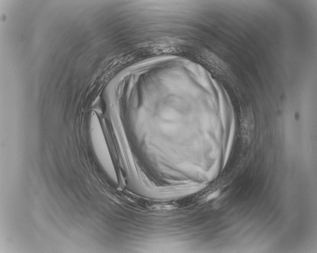 X0000052640169200507221824