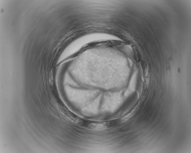 X0000052640170200507221824