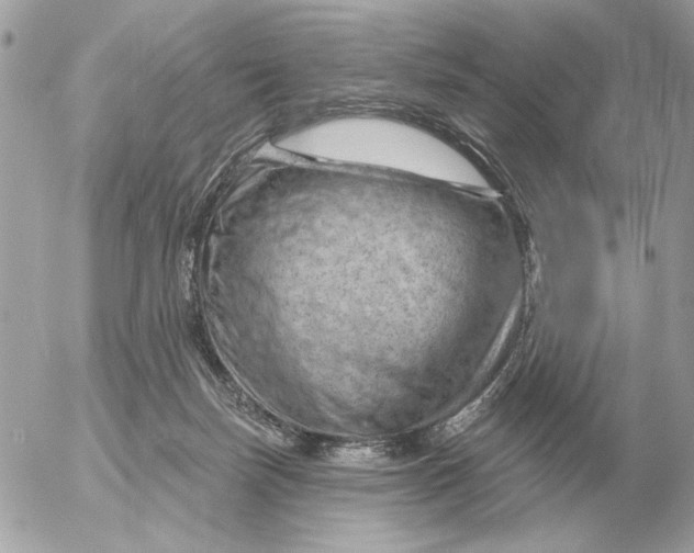 X0000052640171200507221825