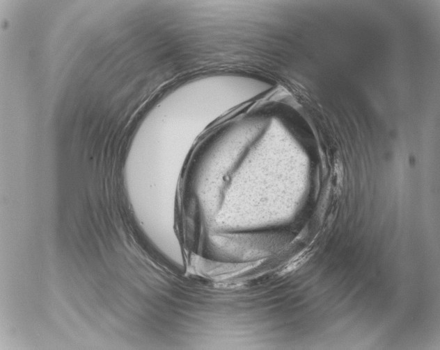 X0000052640172200507221825