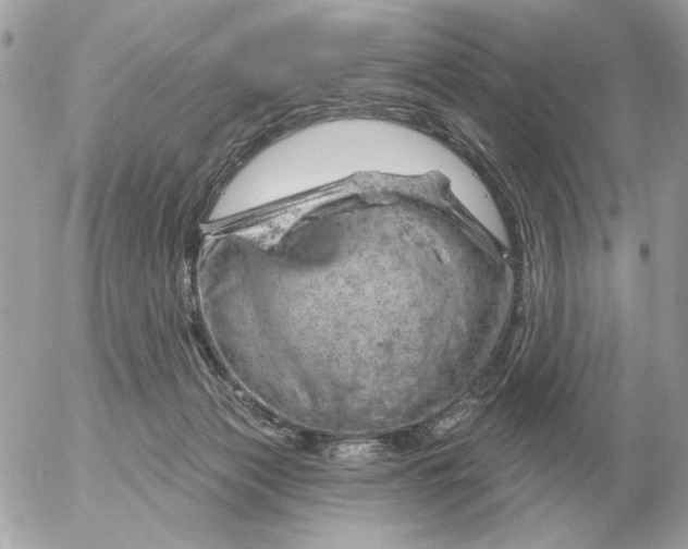 X0000052640173200507221825