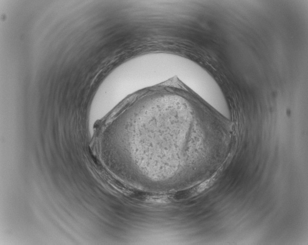 X0000052640175200507221825