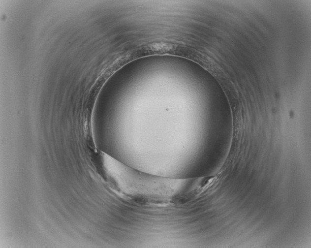 X0000052640176200507221825