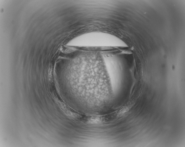 X0000052640177200507221825