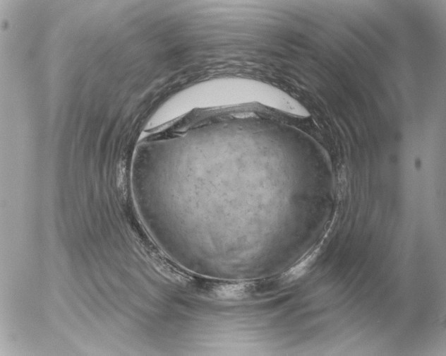 X0000052640178200507221825