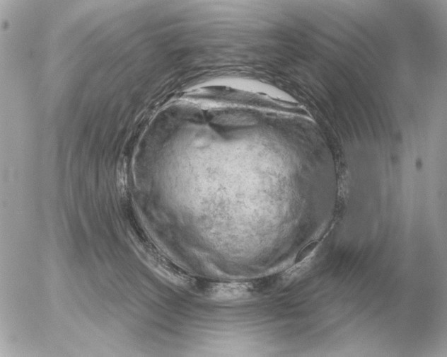 X0000052640179200507221825