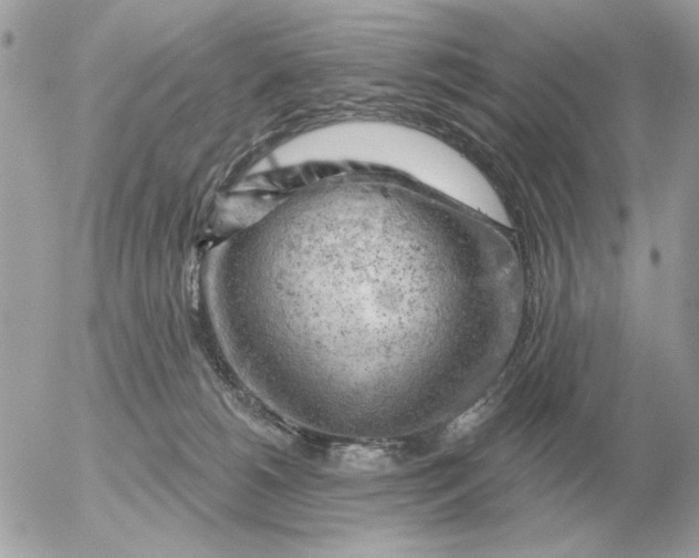 X0000052640180200507221825