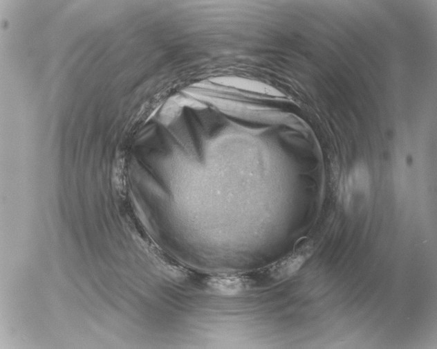 X0000052640181200507221825