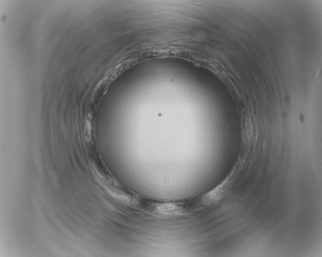 X0000052640183200507221825