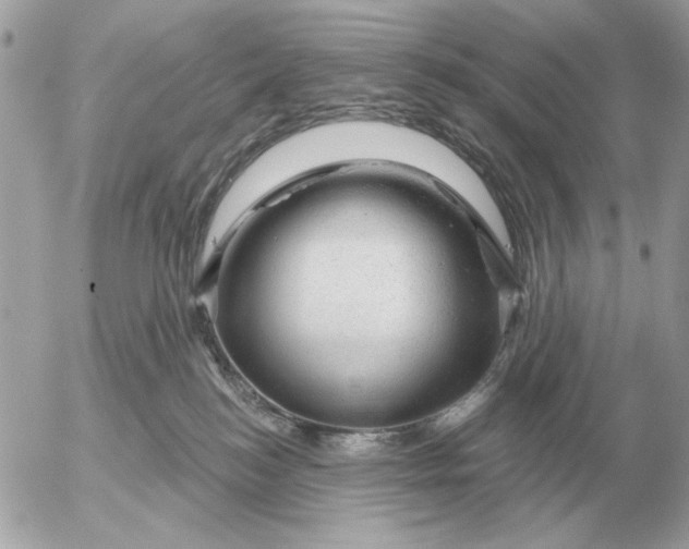 X0000052640184200507221825