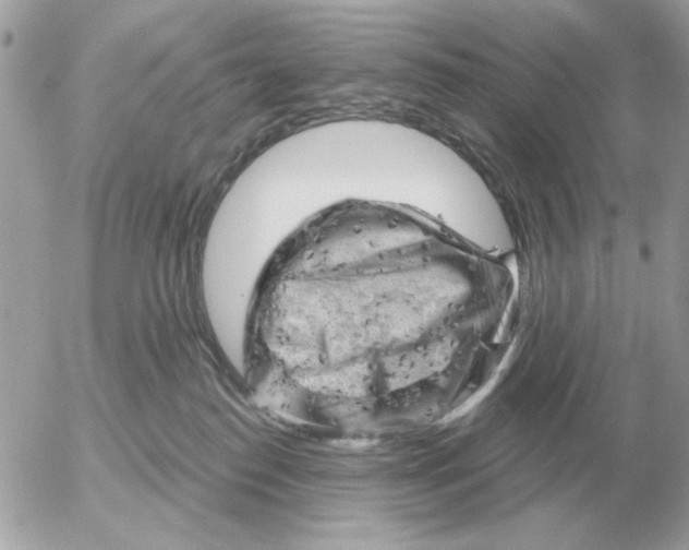 X0000052640186200507221825