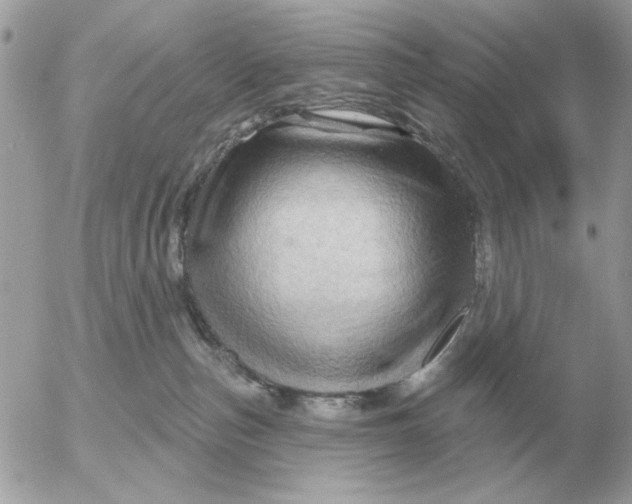 X0000052640187200507221825