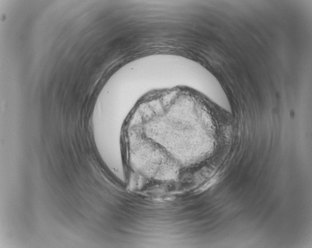 X0000052640188200507221825