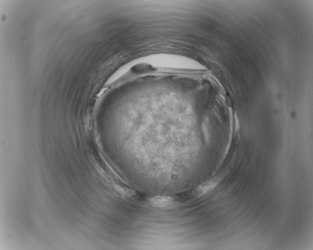 X0000052640189200507221825