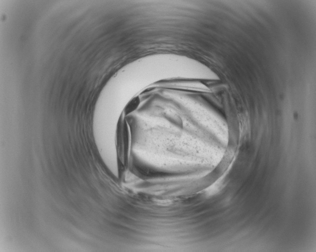 X0000052640190200507221825