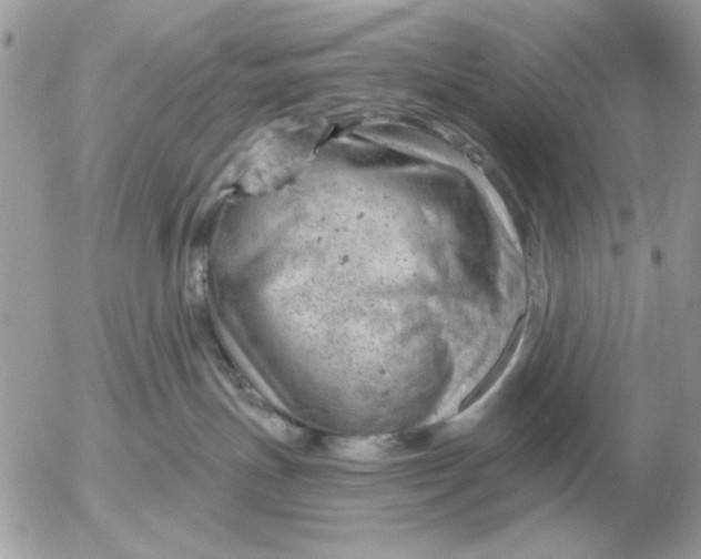 X0000052640191200507221825