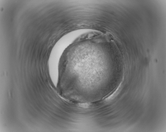 X0000052640192200507221825