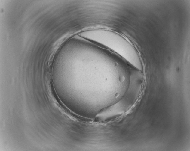 X0000052640193200507221824