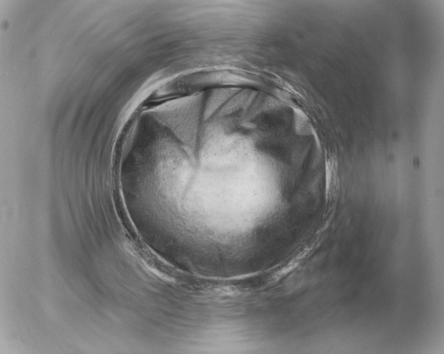 X0000052640195200507221824