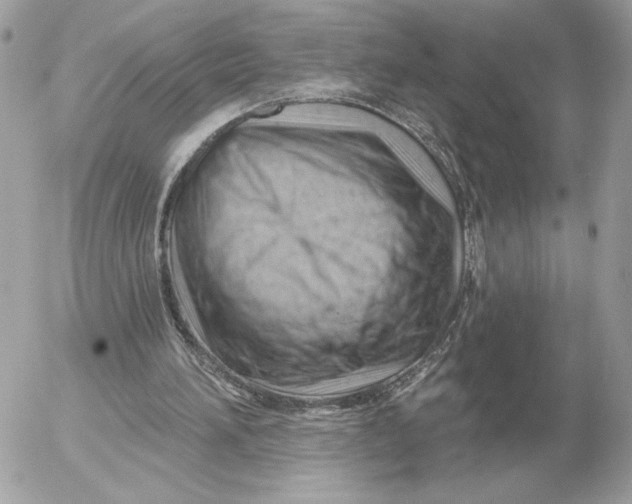 X0000052640196200507221824